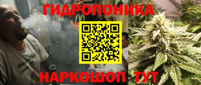 крисы Саянск