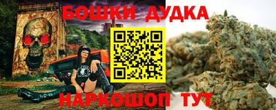 крисы Саянск