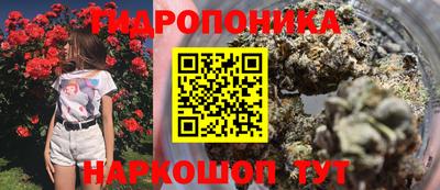 крисы Сафоново