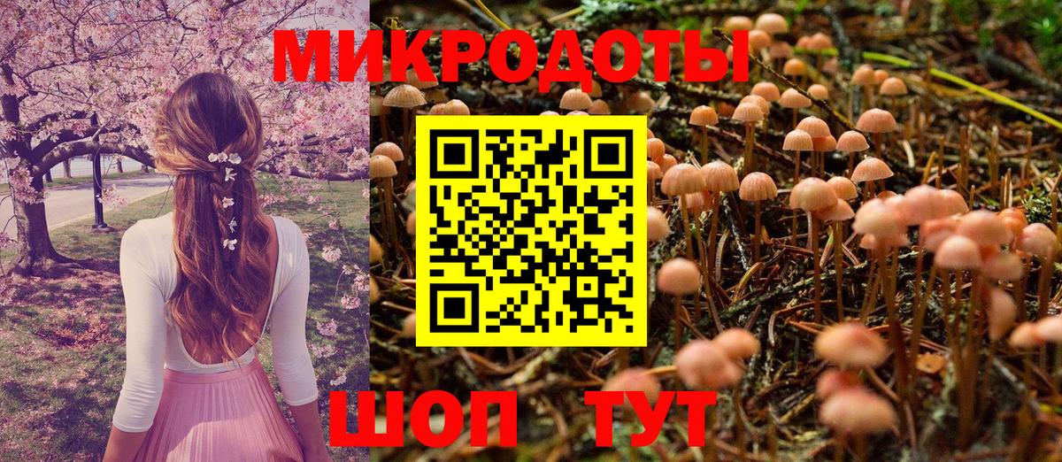 Ачхой-Мартан  Галлюциногенные грибы Magic Shrooms  Псилоцибиновые грибы Psilocybine cubensis  Вход с VPN 