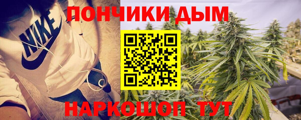 Шишки марихуана конопля Ачхой-Мартан